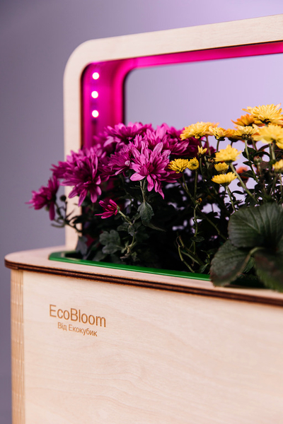EcoBloom Smart Garden Розумний сад вдома - <ro>Изображение</ro><ru>Изображение</ru> #4, <ru>Объявление</ru> #1751028