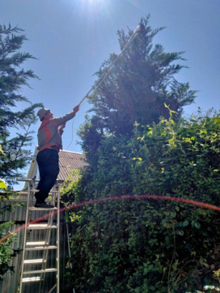 Садовник, обрезка сада, садовых деревьев, уход за садом Одеса - <ro>Изображение</ro><ru>Изображение</ru> #1, <ru>Объявление</ru> #1678815