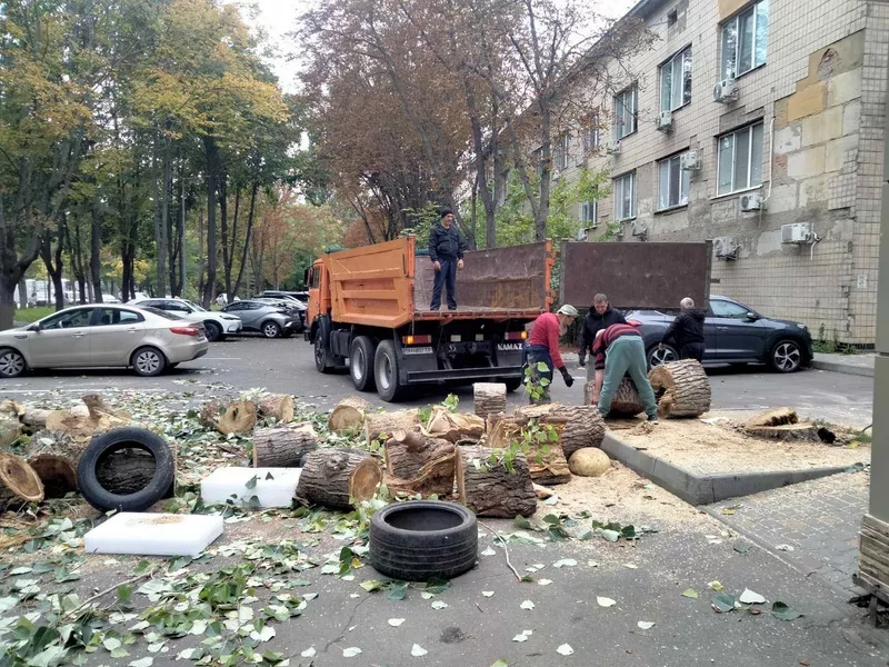 Уборка,планировка участка,спил дерева, демонтажные работы,вывоз мусора  - <ro>Изображение</ro><ru>Изображение</ru> #2, <ru>Объявление</ru> #1687125