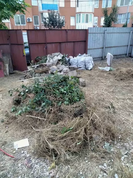 Уборка,планировка участка,спил дерева, демонтажные работы,вывоз мусора  - <ro>Изображение</ro><ru>Изображение</ru> #4, <ru>Объявление</ru> #1687125