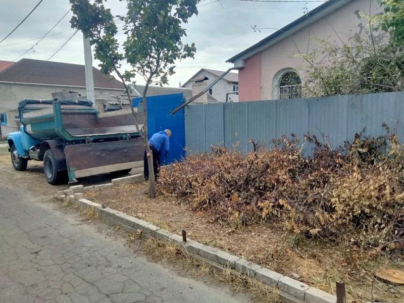 Уборка,планировка участка,спил дерева, демонтажные работы,вывоз мусора  - <ro>Изображение</ro><ru>Изображение</ru> #3, <ru>Объявление</ru> #1687125