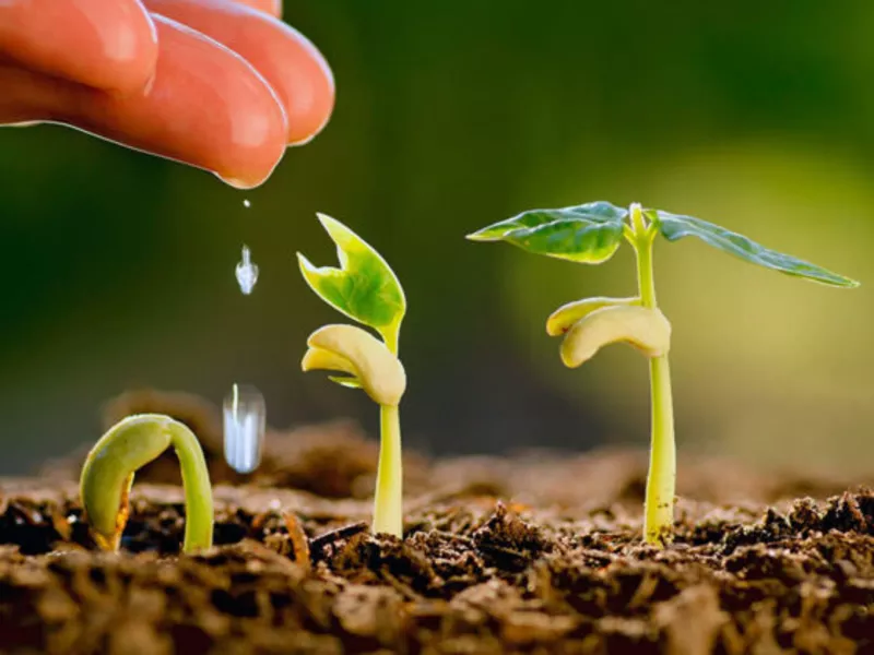  Епiн  екстра  2мл. - <ro>Изображение</ro><ru>Изображение</ru> #2, <ru>Объявление</ru> #1752565